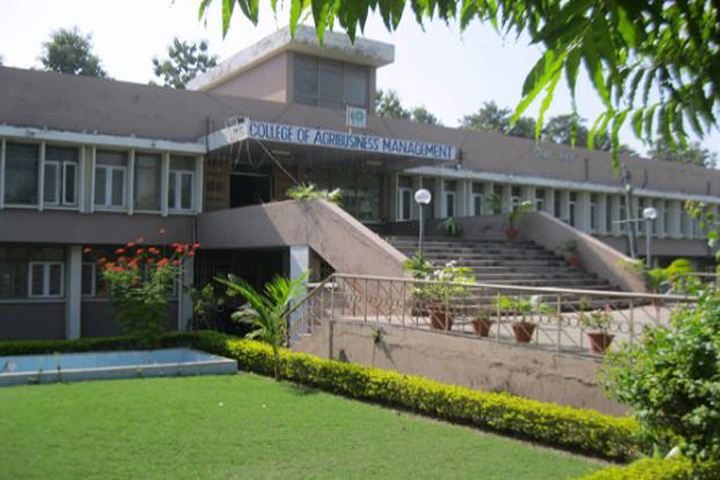 https://cache.careers360.mobi/media/colleges/social-media/media-gallery/5372/2018/10/4/College Building View of College of Agribusiness Management Pantnagar_Campus-View.JPG
